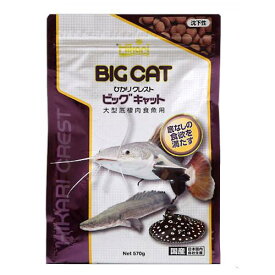 ひかりクレスト　ビッグキャット　570g　キョーリン　大型魚　アロワナ　餌　エサ　えさ　お一人様12点限り【HLS_DU】　関東当日便