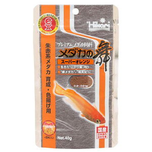 L[@_J̕@X[p[IW@40g@_J̉a@Ԍn_J@Fg@ll50_@֓