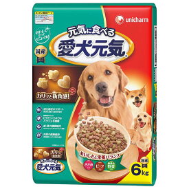 ドッグフード　愛犬元気　全成長段階用　ささみ・ビーフ・緑黄色野菜　6．0kg　お一人様4点限り【HLS_DU】　関東当日便