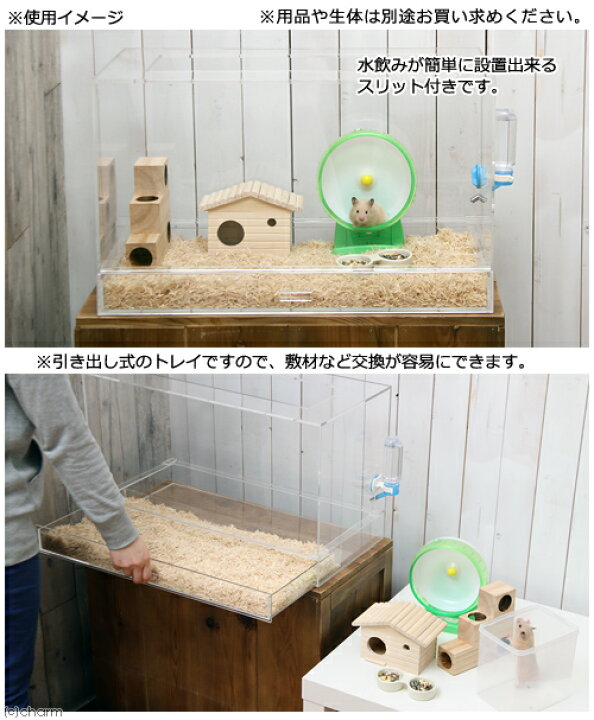 楽天市場 ハムスター飼育用 アクリルケージ ６００ ケージ 飼育容器 寸法 幅６０ｃｍ お一人様１点限り 沖縄別途送料 関東当日便 Charm 楽天市場店