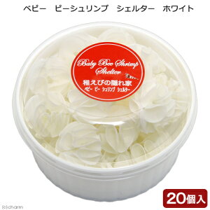 xr[@r[Vv@VF^[@20@zCg@tGr̉BƁ@֓