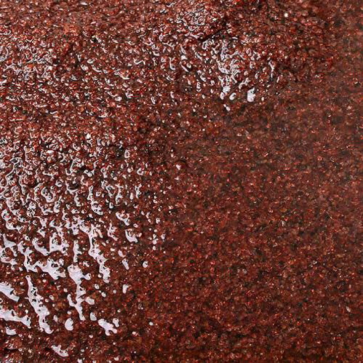 楽天市場 ｎｏ ２６ ｇａｒｎｅｔ ガーネット ９リットル ６０ｃｍ水槽用 沖縄別途送料 関東当日便 Charm 楽天市場店