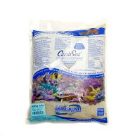 カミハタ　カリブシー　アラガライブ　バハマオーライト　10lbs（約4．53kg）　関東当日便