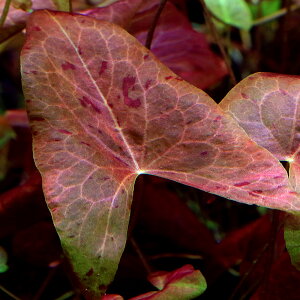 ij^pWXh[tjt@@bhitji_ji1j