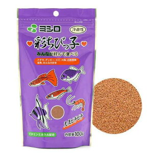 ʂтq@ɏ@V@100g@̂@̉a@֓