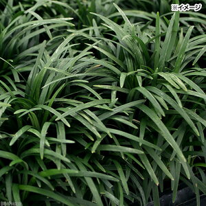 iϗtAjWmqQiEmqQj@ʗ@2D5`3i24|bgj