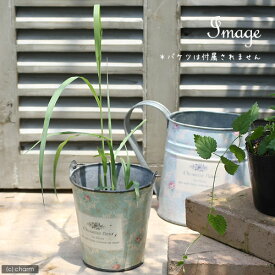 楽天市場 虫除け ハーブ 種類 植物 レモングラス 苗物 ガーデニング 農業 花 ガーデン Diyの通販
