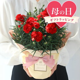 楽天市場 母の日 花 グランルージュの通販