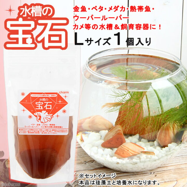 楽天市場 水槽の宝石 ｌサイズ １個入り バクテリア 石 ベタ 金魚 メダカ Charm 楽天市場店