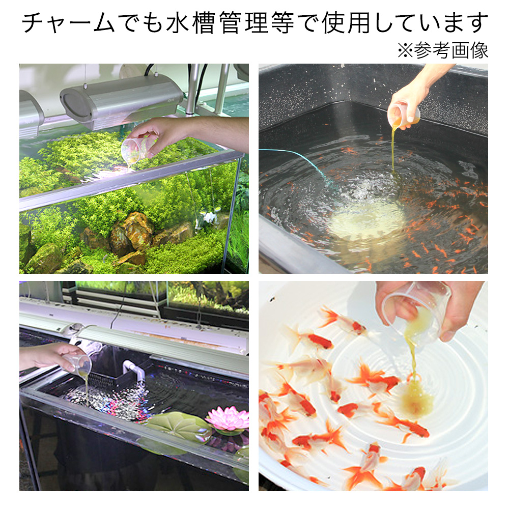 ＰＳＢＱ１０ ピーエスビーキュート 淡水用 ３０ｍＬ３個セット 光合成細菌 バクテリア 熱帯魚 関東当日便 charm 