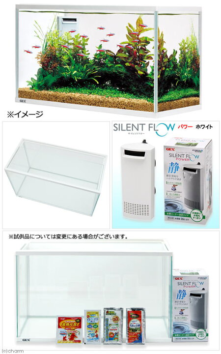 最大59%OFFクーポン GEX サイレントフィット400 水槽セット 初心者 お一人様1点限り riosmauricio.com 最大59%OFFクーポン GEX サイレントフィット400 水槽セット 初心者 お一人様1点限り riosmauricio.com