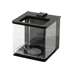 WFbNX GEX AQUARIUM yANA ubN ȒPRpNg W16×D17×H16cm 2.1L