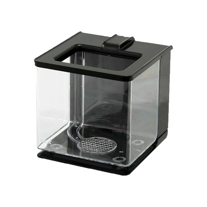 楽天市場 ｇｅｘ 楽アクア ブラック 小型水槽 おしゃれ水槽 初心者 関東当日便 Charm 楽天市場店