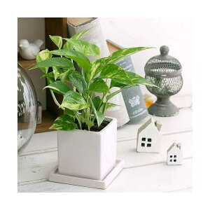 iϗtAj|gX@i킨܂@픫A@}bgzCgi1j@Mt@Z~X@A@@@v[g