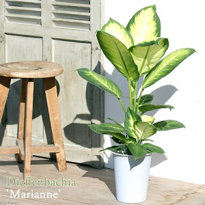 iϗtAjfBtFoLA@}Ak@6i1j