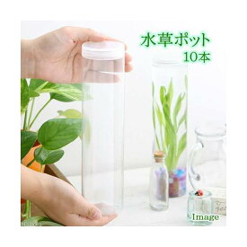 楽天市場 チャーム楽天 ヤマトヌマエビ その他 熱帯魚 アクアリウム ペット ペットグッズの通販