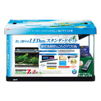 楽天市場】gex 60cm 水槽 セット（熱帯魚・アクアリウム｜ペット 