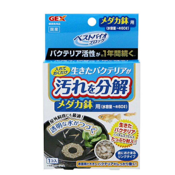 楽天市場 ｇｅｘ ベストバイオブロック メダカ鉢用 バクテリア 石 多孔質 関東当日便 Charm 楽天市場店