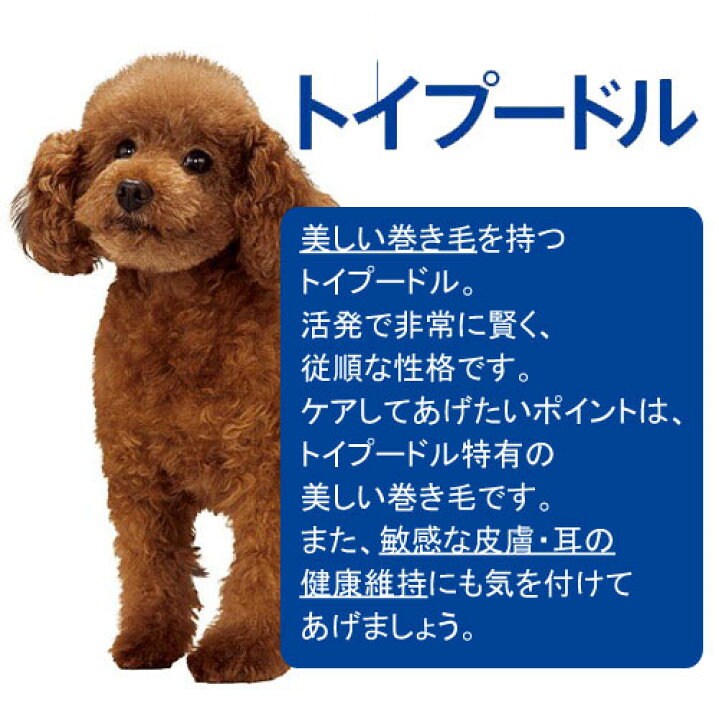 楽天市場】ドッグフード プロマネージ 成犬用 トイプードル専用 1
