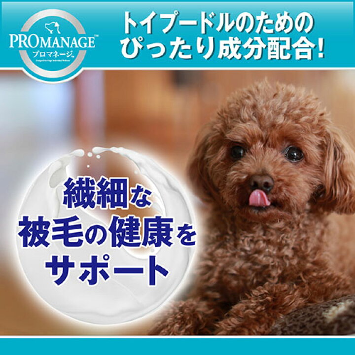 市場】プロマネージ 成犬用 トイプードル専用 1.7kg ドッグフード 関東当日便 : charm 市場店 市場】プロマネージ 成犬用 トイプードル専用 1.7kg ドッグフード 関東当日便 : charm 市場店