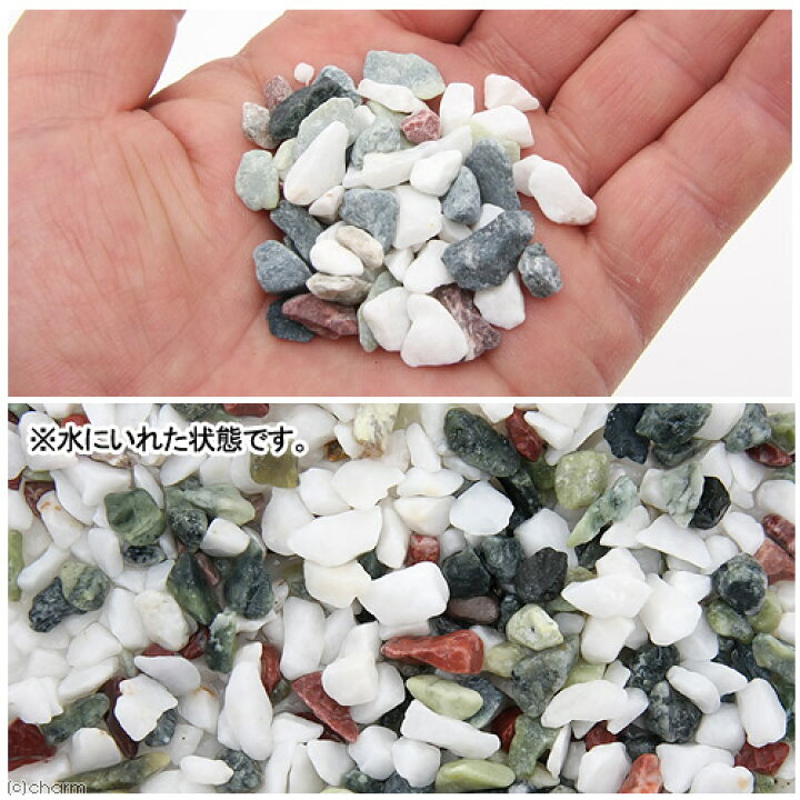 楽天市場 水作 水槽の底砂シリーズ 新五色石 ０ ８ｋｇ 金魚 底床 関東当日便 Charm 楽天市場店