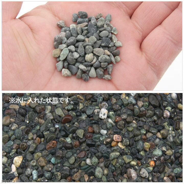楽天市場 水作 水槽の底砂シリーズ 大磯砂 ２ ４ｋｇ 底床 大磯 関東当日便 Charm 楽天市場店