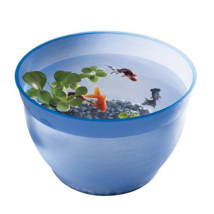楽天市場 スドー 金魚の小鉢 るり 瑠璃 金魚鉢 関東当日便 Charm 楽天市場店