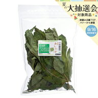 国産　あしたば　10g　小動物のおやつ　うさぎ　ハムスター　無添加　無着色