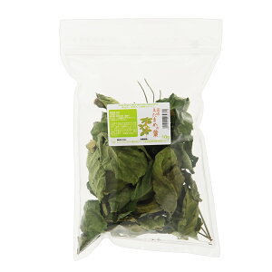 国産 えだまめの葉 10g 小動物のおやつ うさぎ ハムスター 無添加 無着色 関東当日便