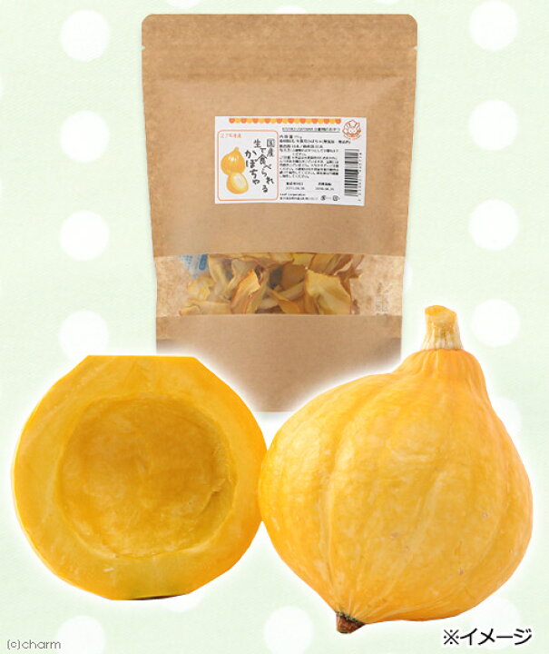楽天市場】国産 生で食べられるかぼちゃ 15g 小動物のおやつ 関東当日便 : charm 楽天市場店 楽天市場】国産 生で食べられるかぼちゃ 15g 小動物のおやつ 関東当日便 : charm 楽天市場店