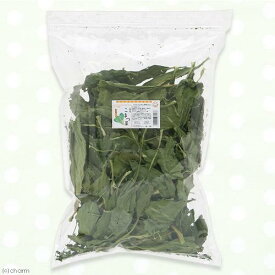 国産　こまつ菜　100gパック　小動物のおやつ　無添加　無着色　関東当日便