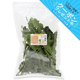 国産　パパイヤの葉　30g　お徳用パック　小動物用のおやつ　無添加　無着色　うさぎ　モルモット　毛球ケア　関東当日便