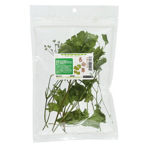 ꌧΊ_Y@i傤߂j@5g@̂@@nX^[@Y@Y@F@֓