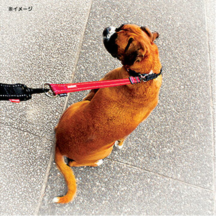 楽天市場】犬 リード イージードッグ 延長リード ソフトエクステンション レッド 関東当日便 : charm 楽天市場店 楽天市場】犬 リード イージードッグ 延長リード ソフトエクステンション レッド 関東当日便 : charm 楽天市場店