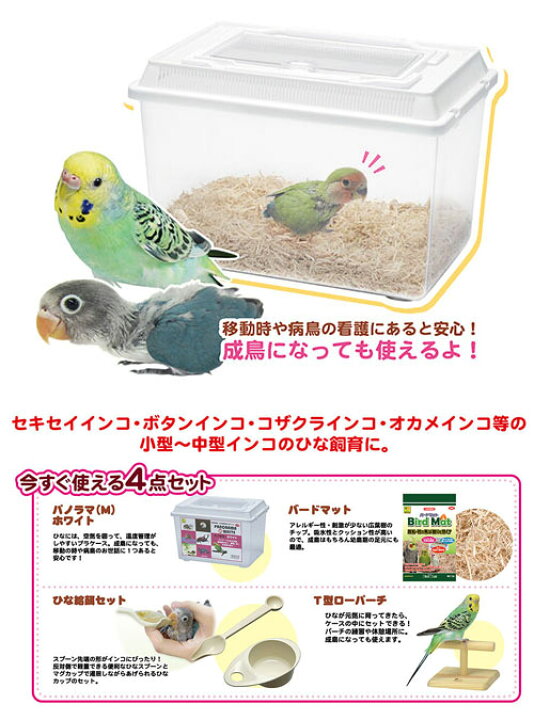 楽天市場】鳥籠 鳥 ケージ 三晃商会 インコひな用 特製飼育セット 