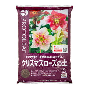 y11^1zIm21I1ő100@|{y@vg[t@NX}X[Y̓y@12L@ll2_