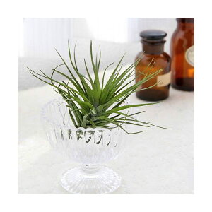 iϗtAjGA[vc@`WA@ekCtHA@GhtHXgi1j