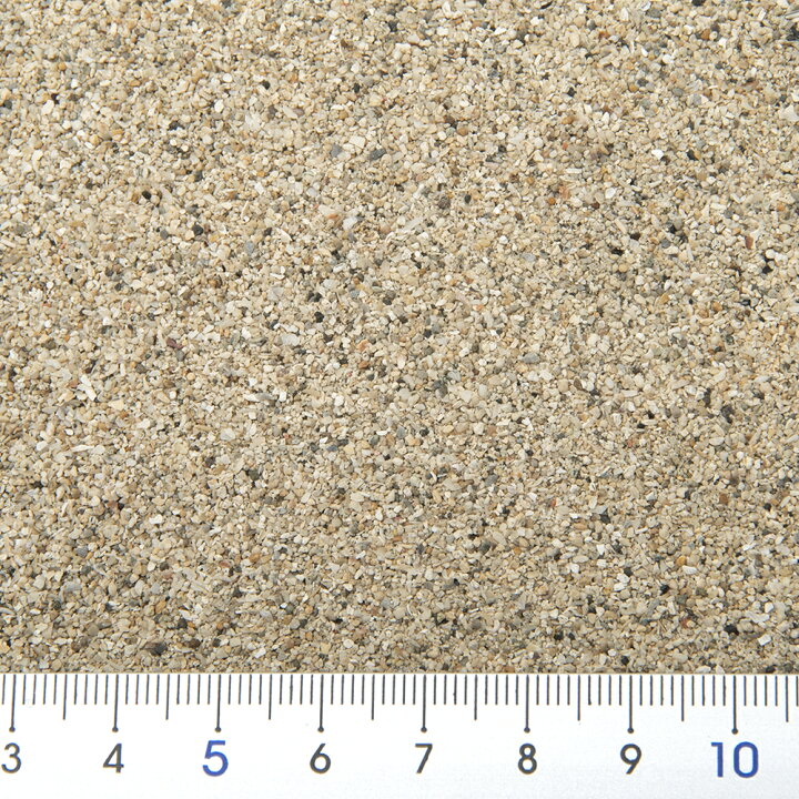 楽天市場 未洗浄 サンゴ砂 パウダー ０ ２０ｋｇ ５ｋｇ ４袋 海水水槽用底砂 お一人様１点限り 関東当日便 Charm 楽天市場店