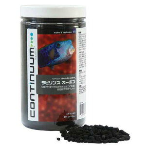 ReBjAANAeBNX@rXJ[{@500g@Y@WECp@֓