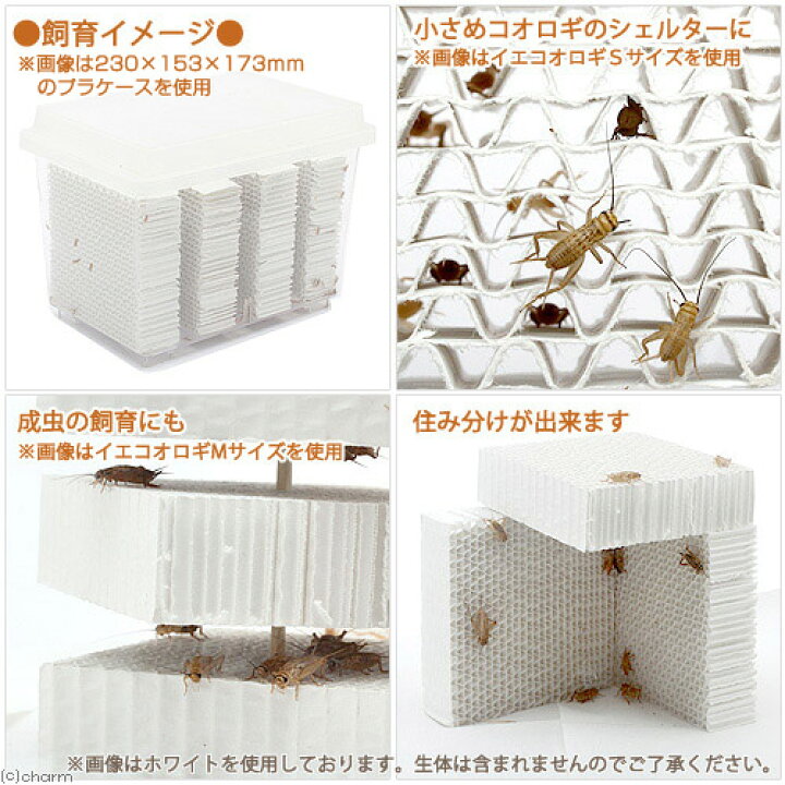 楽天市場 コオロギ用ペーパシェルター ４枚入り 昆虫 コオロギ 飼育 ハウス ケース 関東当日便 Charm 楽天市場店