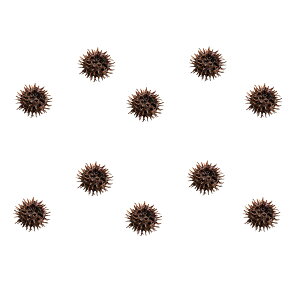 tGr̉BƂɍœK@tE̎i~WotE̎j@10@r[Vv@֓