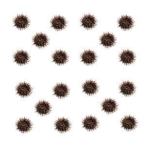 tGr̉BƂɍœK@tE̎i~WotE̎j@20@r[Vv@֓