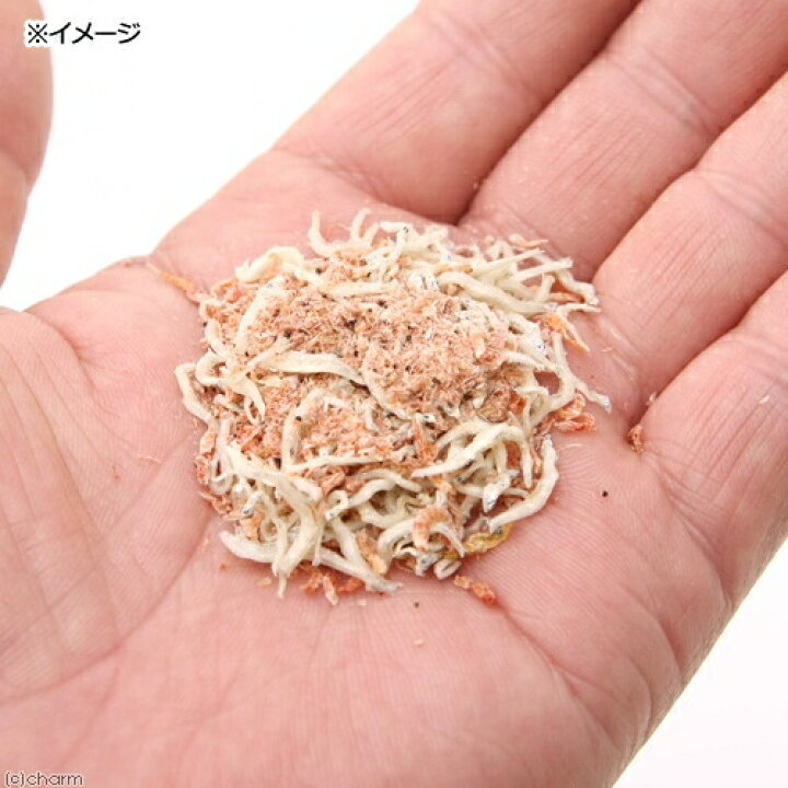 楽天市場 aquarium fish food series ff num14 海水魚用 乾燥小魚 オキアミ 8g 詰め替え用 関東当日便 Charm 楽天市場店 楽天市場 aquarium fish food series ff num14 海水魚用 乾燥小魚 オキアミ 8g 詰め替え用 関東当日便 Charm 楽天市場店