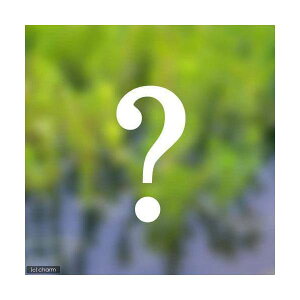 irIg[vjA@܂^i3|bgZbgjixԁj