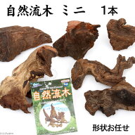 形状お任せ　自然流木　ミニ（約15cm以下）　1本　アクアリウム　水槽