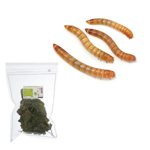 iaj~[@5Jbv@h{Zbg@a@{Bl