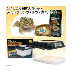 楽天市場 カエル ヒーターの通販