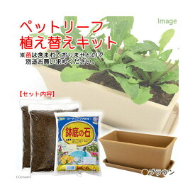 楽天市場 大葉 栽培 キットの通販 楽天市場 大葉 栽培 キットの通販