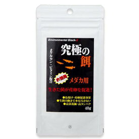 B－blast　究極の餌　メダカ用　40g　メダカの餌　顆粒【HLS_DU】　関東当日便