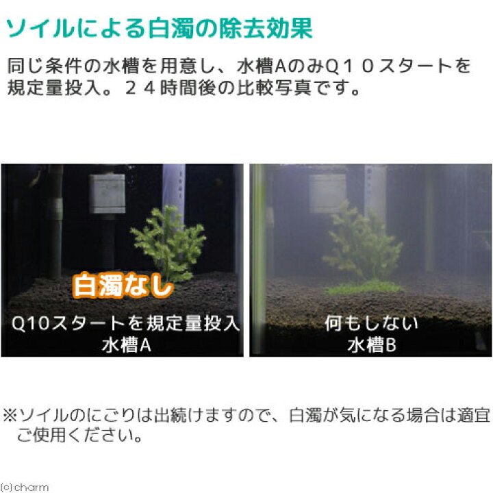楽天市場 ｑ１０スタート 淡水用 ２５０ｍｌ３本セット 植物由来 白濁除去 魚 エビに優しいカルキ抜き 水槽 立ち上げ 初期 解消 金魚 ソイル 関東当日便 Charm 楽天市場店